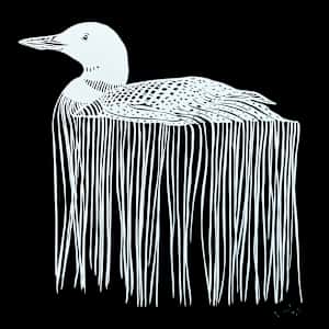 qaqsaut by Anja Studer