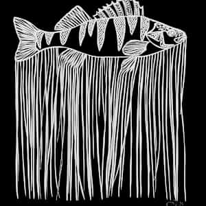 qayalluq by Anja Studer