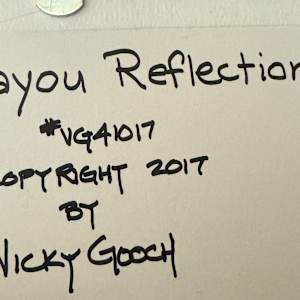 Bayou Reflections by Vicky Gooch  Image: Painting Back Copyright Notice