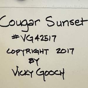 Cougar Sunset by Vicky Gooch  Image: Painting Back Copyright Notice
