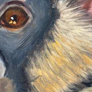 Red Tailed Guenon by Vicky Gooch  Image: Paint Detail