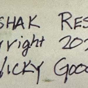 Dworshak Reservoir by Vicky Gooch  Image: Painting Back Copyright Notice