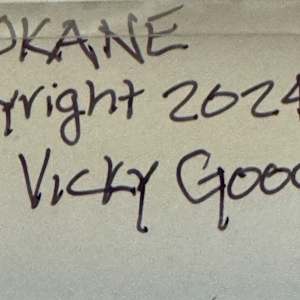 Spokane by Vicky Gooch  Image: Painting Back Copyright Notice