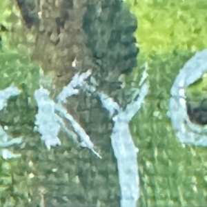 Spokane by Vicky Gooch  Image: Signature