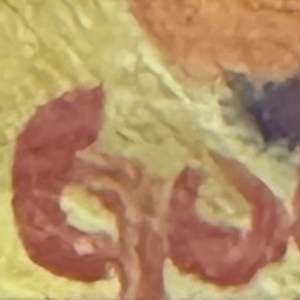 Pretty Rocks by Vicky Gooch  Image: Signature