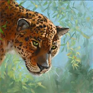 Jaguar by Vicky Gooch