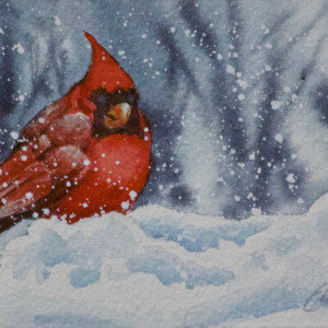 All Fluffed Up and Cozy by Linda Eades Blackburn
