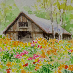 Barnyard Wildflowers by Linda Eades Blackburn