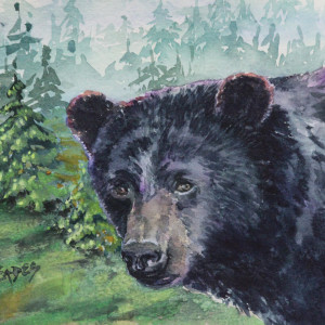 Bear Gaze by Linda Eades Blackburn