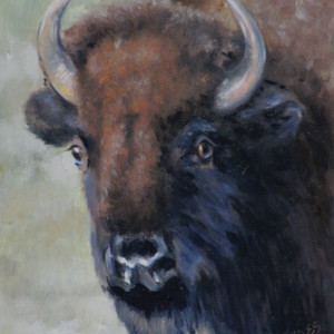 Buffalo Girl by Linda Eades Blackburn