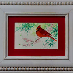 Spring Cardinal 