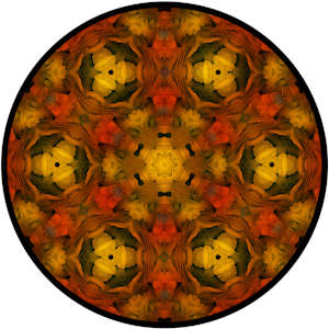 Kaleidoscope - 2018 by DiAnne Cooper, Image 9.