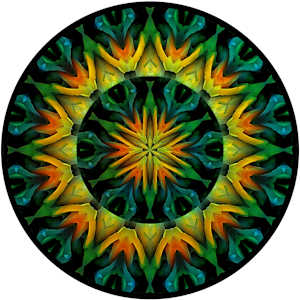 Kaleidoscope - 2018 by DiAnne Cooper, Image 6.