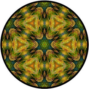 Kaleidoscope - 2018 by DiAnne Cooper, Image 7.