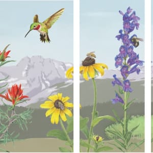 CO Native Plans & Pollinators by Charlotte Ricker