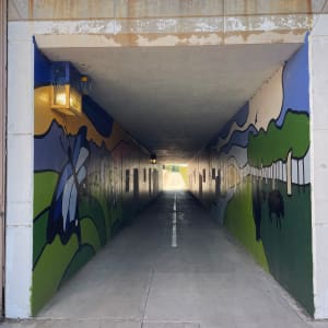Underpass Mural by Joe Ziegler 