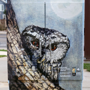 Owl Love Thornton by Kimberley Kelley 