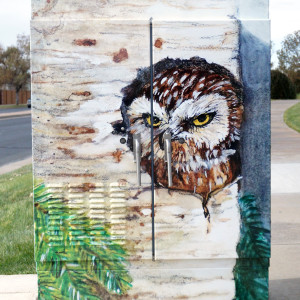 Owl Love Thornton by Kimberley Kelley 
