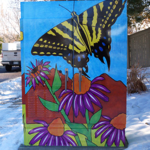 Colorado Flowers and Pollinators by Leslie Gwynn