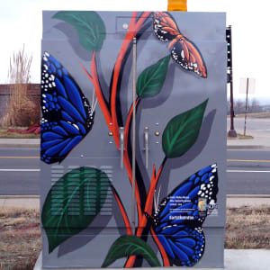 Butterfly Garden by Walter Macias 