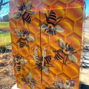 The Bee Hive by Amare Bihanu 