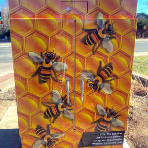 The Bee Hive by Amare Bihanu 