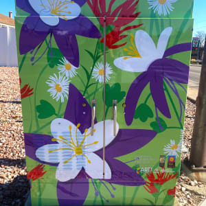 Colorado Wildflowers by Becky  Hawley 