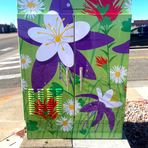 Colorado Wildflowers by Becky  Hawley 