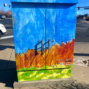 Balloons Above Thornton by Landon Janssen 