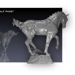 Half Pass by Tammy Tappan 