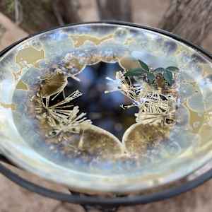 Oriental Birdbath by Nichole Vikdal 
