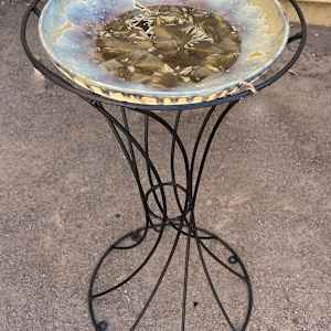 Oriental Birdbath #3 by Nichole Vikdal