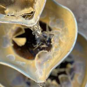 "Stillness in Motion" by Nichole Vikdal 