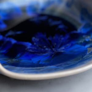Blue and White Sculpture Plate by Nichole Vikdal 
