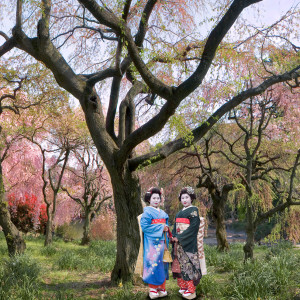 "Tokyo Blossom Twins" Japan by Kerry Shaw