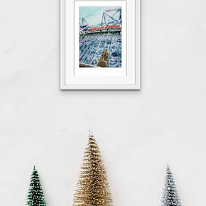 Manchester Red by Cathy Read 