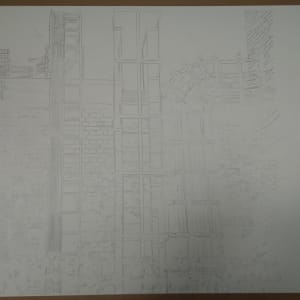 Transport Lines by Cathy Read 