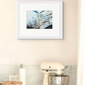 Walk the Dome by Cathy Read 