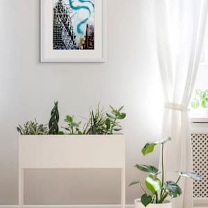 Whispering Glass by Cathy Read 