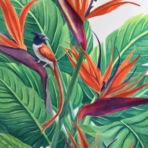 Bird of Paradise by cathy earle