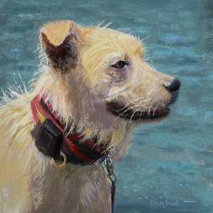 a breed apart by Karen Israel