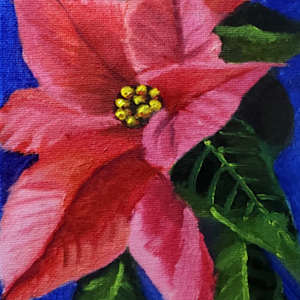 Pointsettia by Sharon Allen