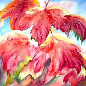 After the Rain by Aprille Janes