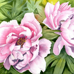 Annapolis Peony by Aprille Janes