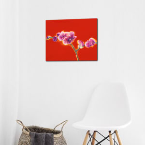 Orchid Blessings (Limited Edition on Paper) by Joanne Probyn 