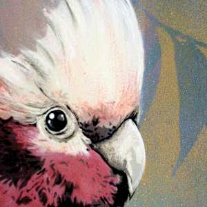 Cecil by Geoff Cunningham, Image 6.
