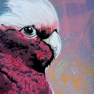 Cedric by Geoff Cunningham, Image 7.
