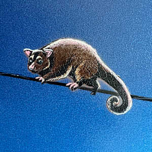 After Hours by Geoff Cunningham 