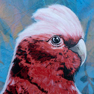 Silly Bloody Galah by Geoff Cunningham 