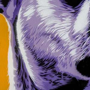 The Boxer by Geoff Cunningham 